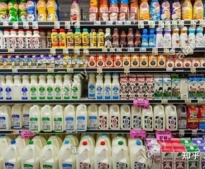 乳制品行业